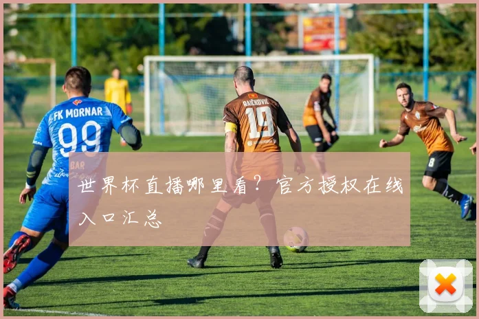 世界杯直播哪里看？官方授权在线入口汇总