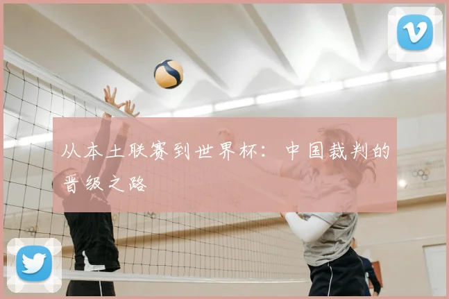 从本土联赛到世界杯：中国裁判的晋级之路