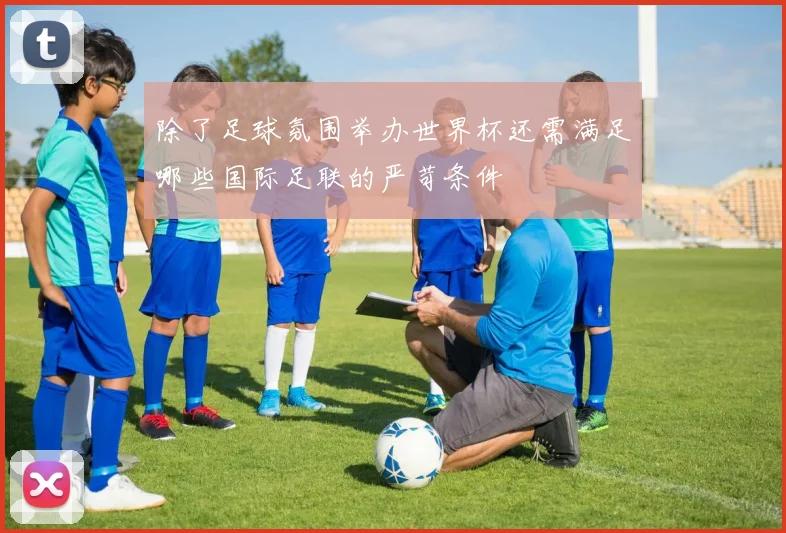 除了足球氛围举办世界杯还需满足哪些国际足联的严苛条件