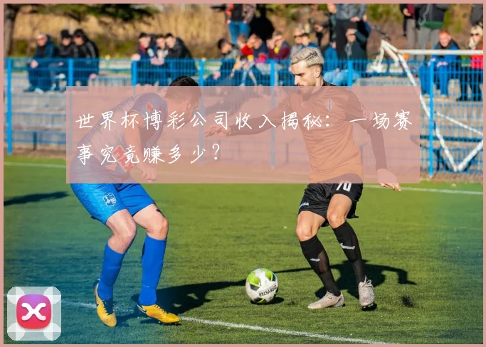世界杯博彩公司收入揭秘：一场赛事究竟赚多少？