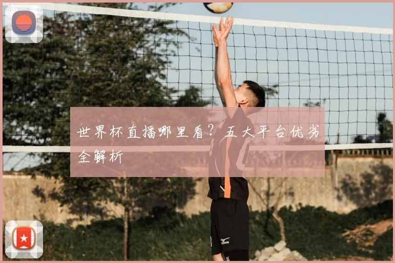 世界杯直播哪里看？五大平台优劣全解析