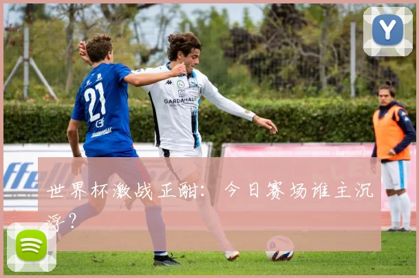世界杯激战正酣:今日赛场谁主沉浮?
