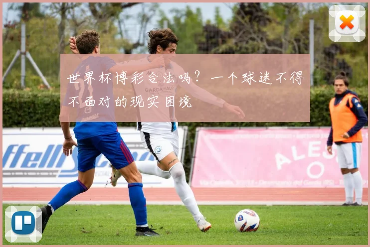 世界杯博彩合法吗?一个球迷不得不面对的现实困境