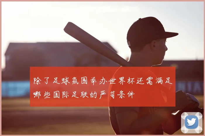 除了足球氛围举办世界杯还需满足哪些国际足联的严苛条件