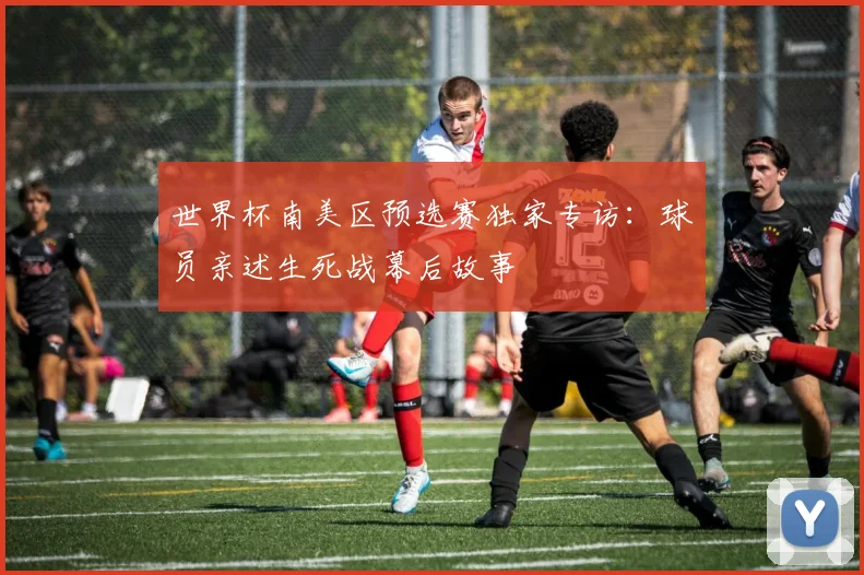 世界杯南美区预选赛独家专访：球员亲述生死战幕后故事